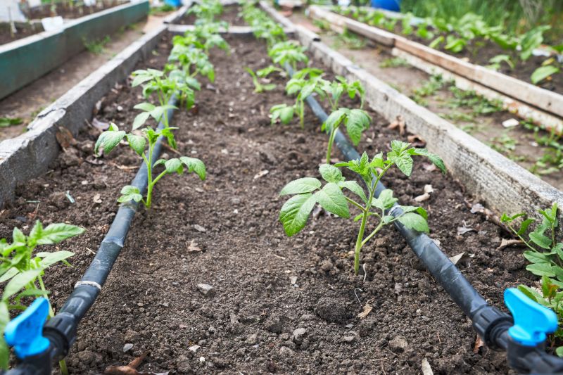 Drip Irrigation Hose Installation