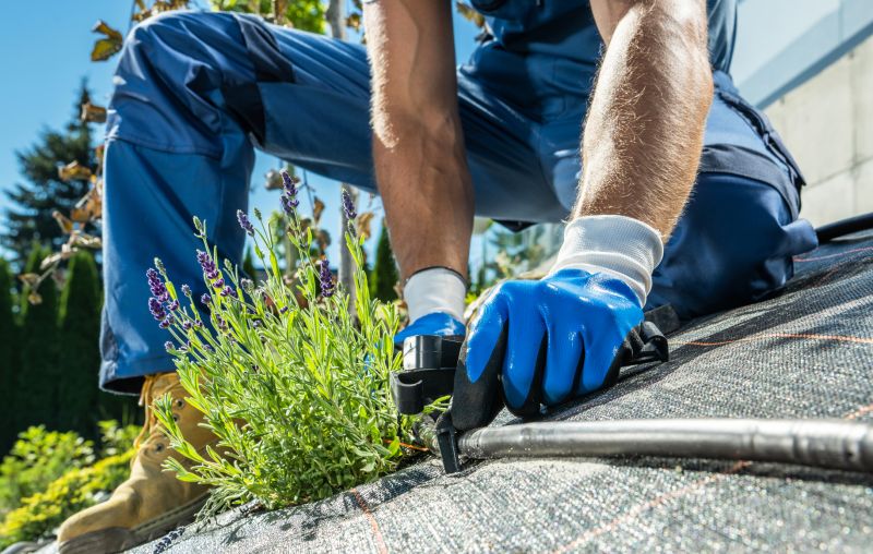 Drip Irrigation Hose Installation