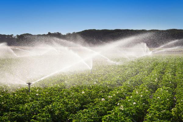 Agricultural Irrigation