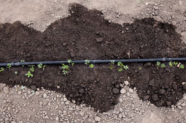 Soaker Hose Installation
